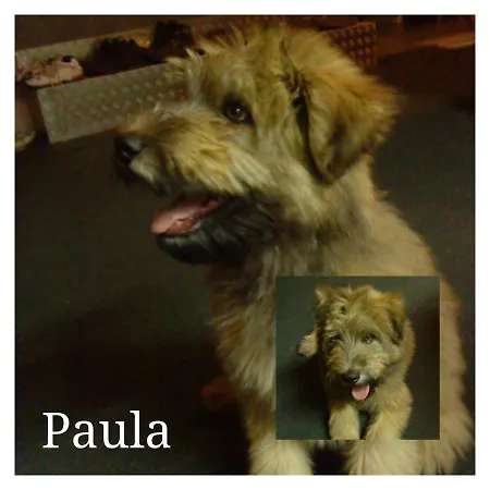 Lejlighed Gnubbel Am Wald *