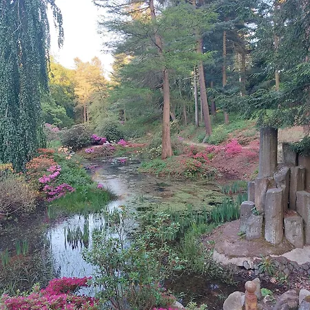 Gnubbel Am Wald * فايسفاسر