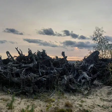 Gnubbel Am Wald Weisswasser