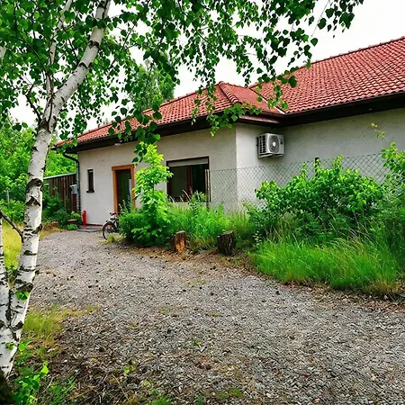 Gnubbel Am Wald