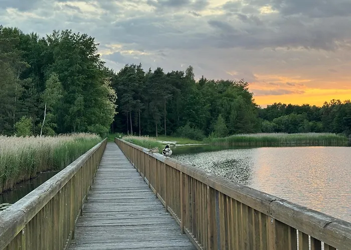 Gnubbel Am Wald *